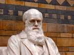 A statue of Charles Darwin at the Natural History Museum, west London