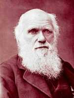 The last known picture of Charles Darwin, taken in 1881