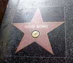 Bowie's star on the Hollywood Walk of Fame (© iluvrhinestones, CC BY-SA 2.0)
