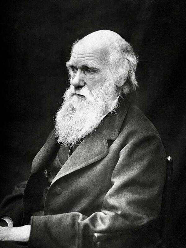 A picture of Charles Darwin in 1869, aged 60.