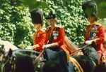 Elizabeth riding Burmese at the 1986 Trooping the Colour ceremony