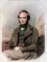 A portrait of Charles Darwin in his twenties